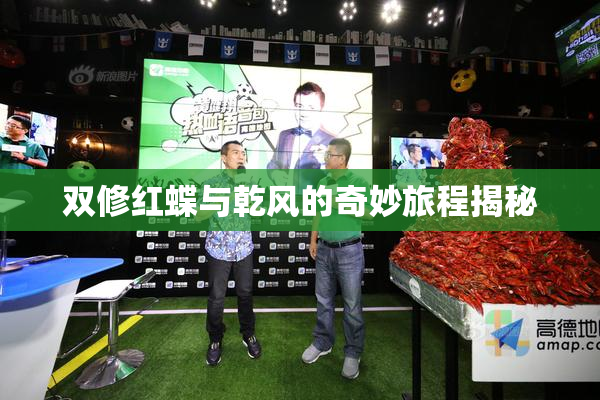 双修红蝶与乾风的奇妙旅程揭秘