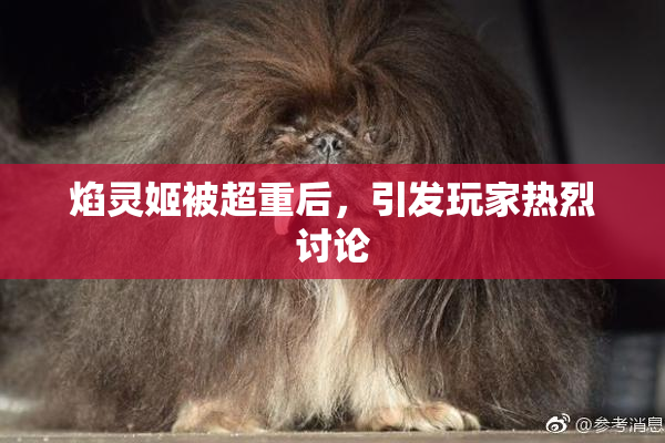 焰灵姬被超重后，引发玩家热烈讨论