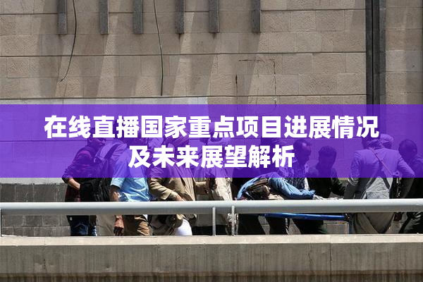 在线直播国家重点项目进展情况及未来展望解析