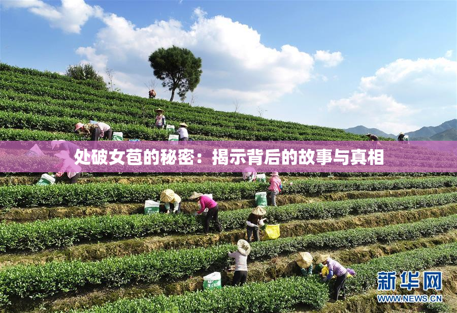 处破女苞的秘密：揭示背后的故事与真相