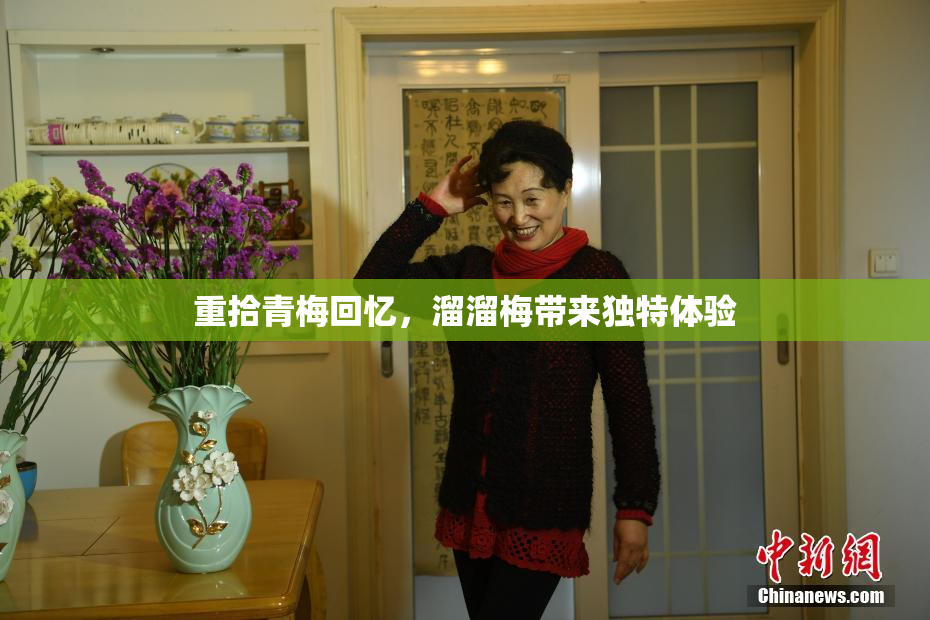 重拾青梅回忆，溜溜梅带来独特体验