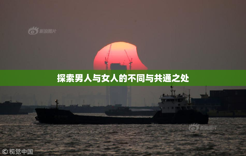 探索男人与女人的不同与共通之处