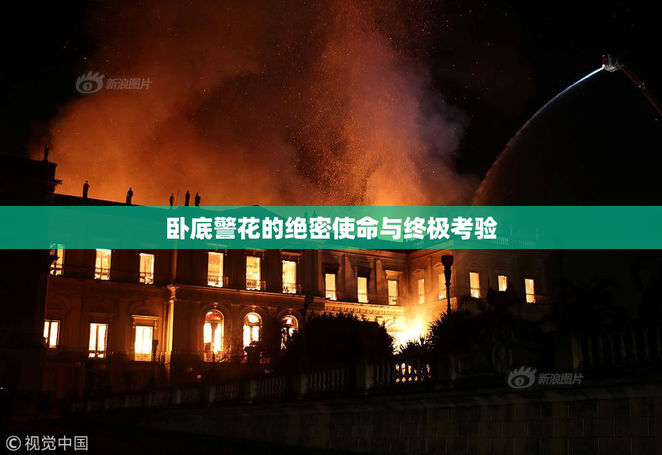 卧底警花的绝密使命与终极考验