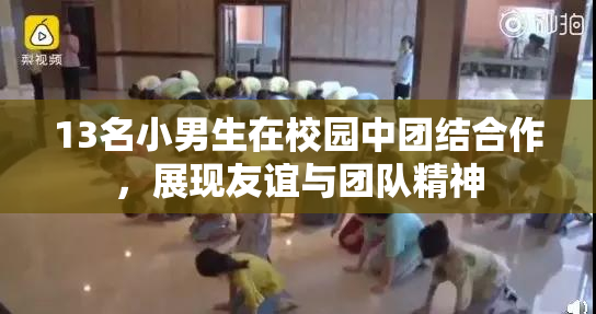 13名小男生在校园中团结合作，展现友谊与团队精神