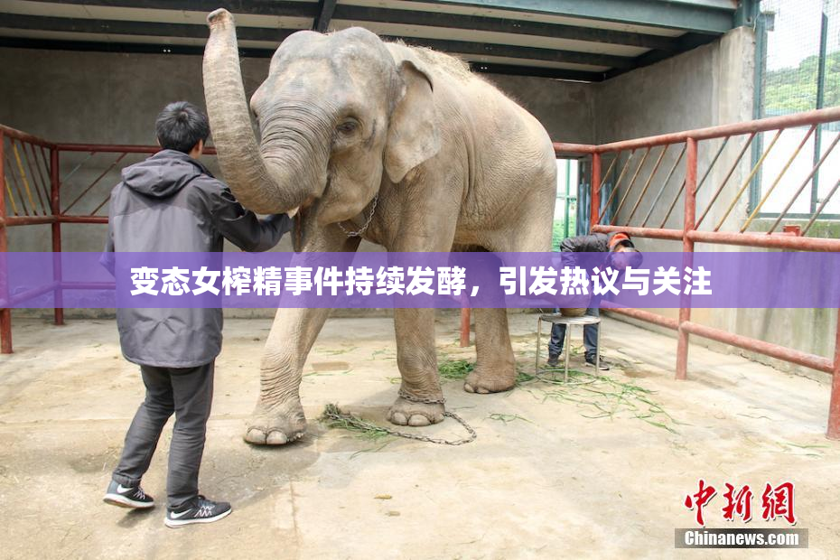变态女榨精事件持续发酵，引发热议与关注