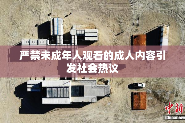 严禁未成年人观看的成人内容引发社会热议