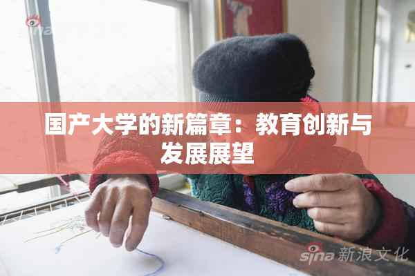 国产大学的新篇章：教育创新与发展展望