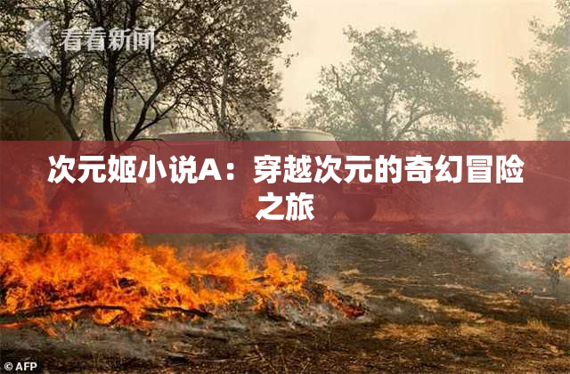 次元姬小说A：穿越次元的奇幻冒险之旅