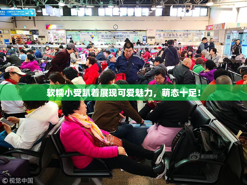 软糯小受趴着展现可爱魅力，萌态十足！