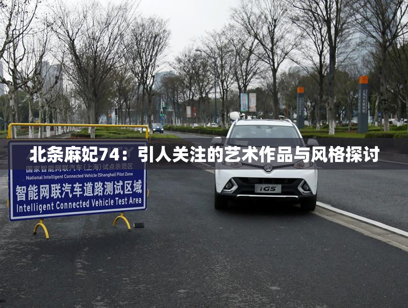 北条麻妃74：引人关注的艺术作品与风格探讨