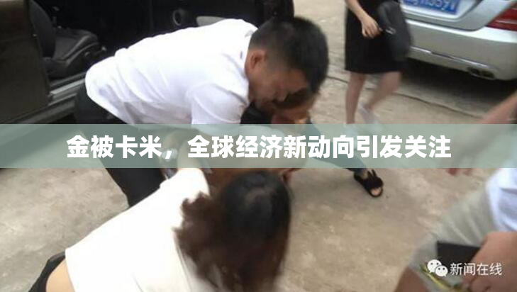 金被卡米，全球经济新动向引发关注