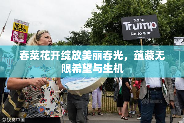 春菜花开绽放美丽春光，蕴藏无限希望与生机