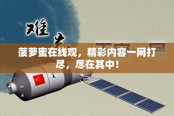 菠萝蜜在线观，精彩内容一网打尽，尽在其中！