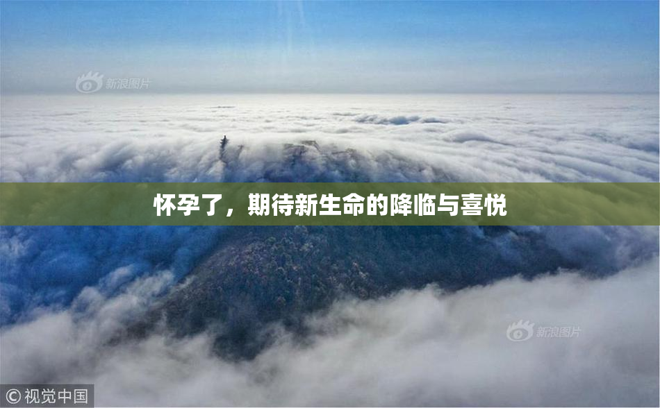 怀孕了，期待新生命的降临与喜悦
