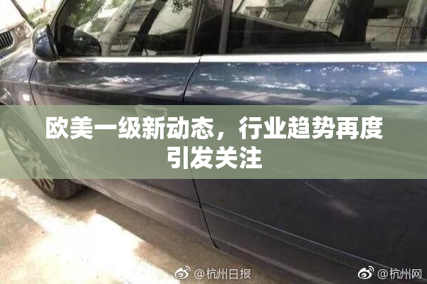 欧美一级新动态，行业趋势再度引发关注