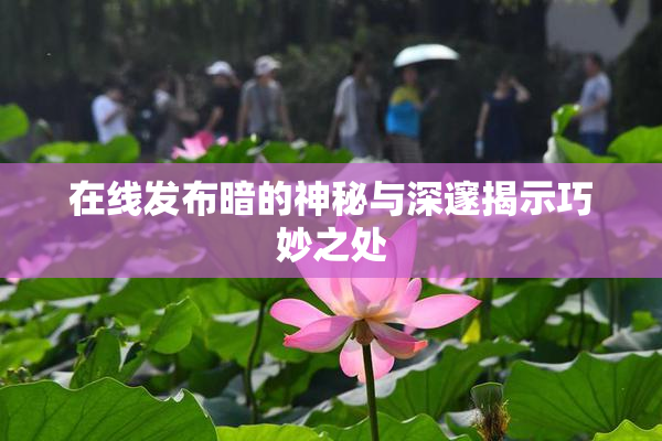 在线发布暗的神秘与深邃揭示巧妙之处