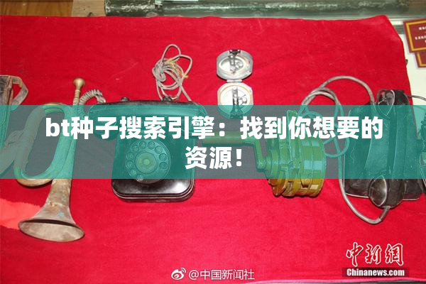 bt种子搜索引擎：找到你想要的资源！