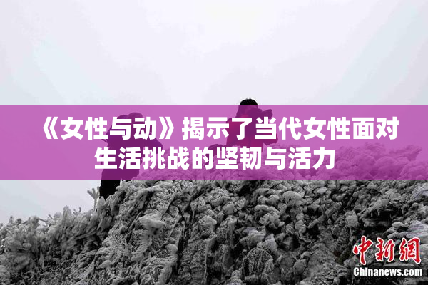 《女性与动》揭示了当代女性面对生活挑战的坚韧与活力