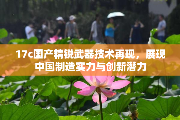 17c国产精锐武器技术再现，展现中国制造实力与创新潜力