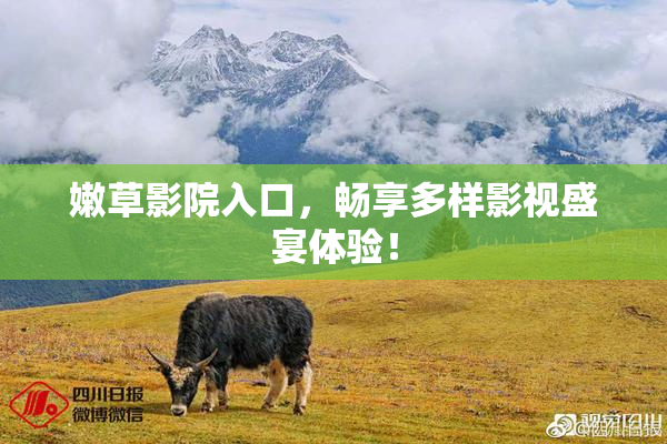 嫩草影院入口，畅享多样影视盛宴体验！