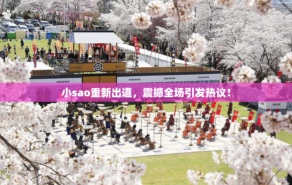 小sao重新出道，震撼全场引发热议！
