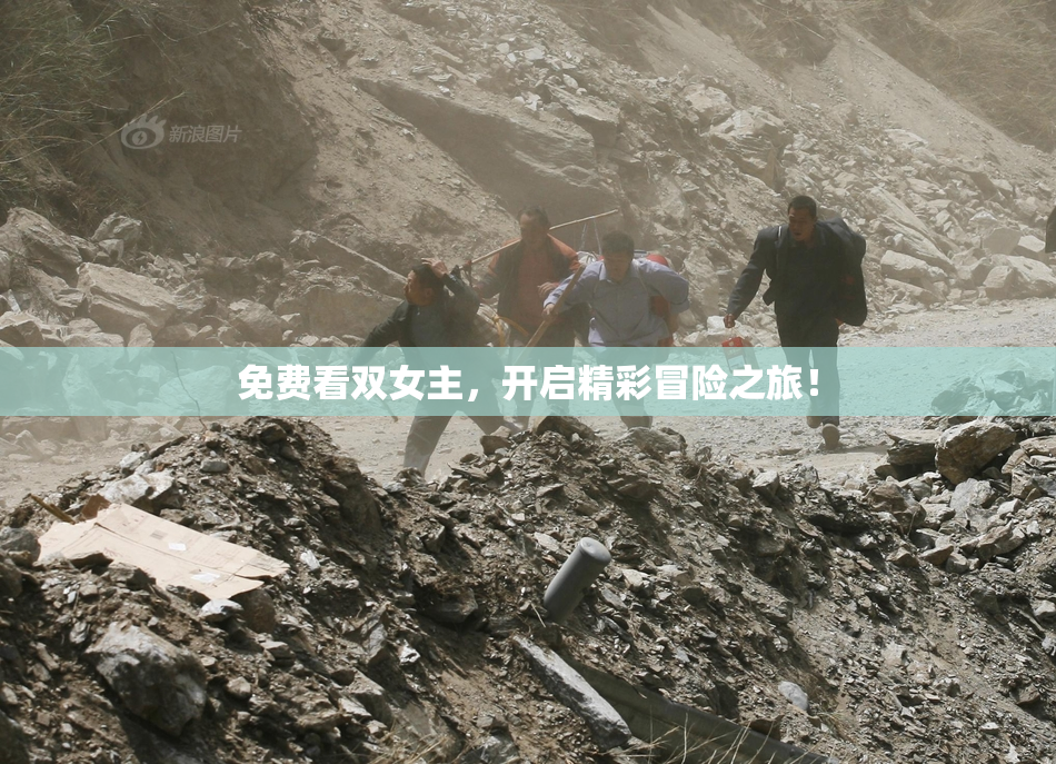 免费看双女主，开启精彩冒险之旅！