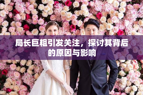 局长巨粗引发关注，探讨其背后的原因与影响