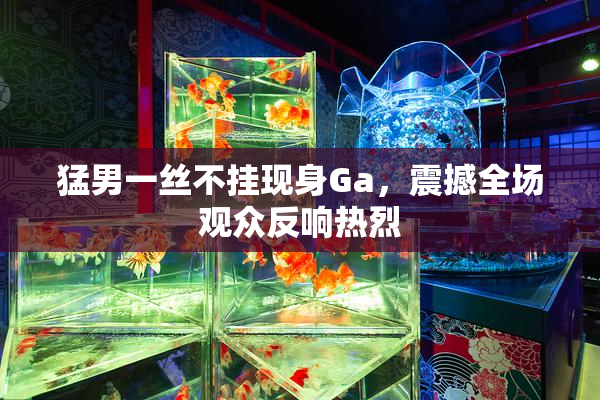 猛男一丝不挂现身Ga，震撼全场观众反响热烈