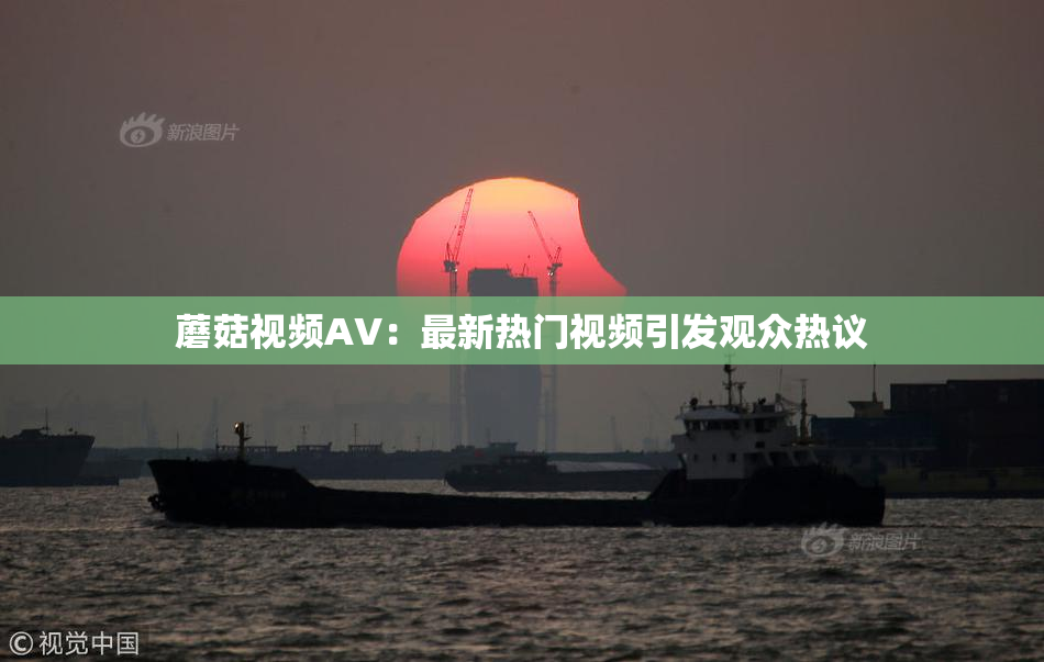 蘑菇视频AV：最新热门视频引发观众热议