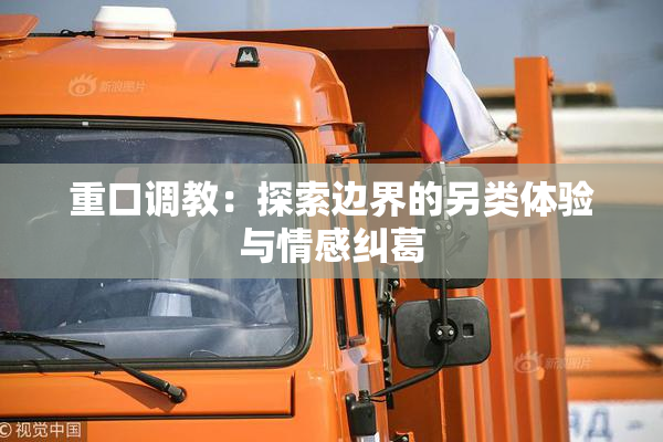 重口调教：探索边界的另类体验与情感纠葛