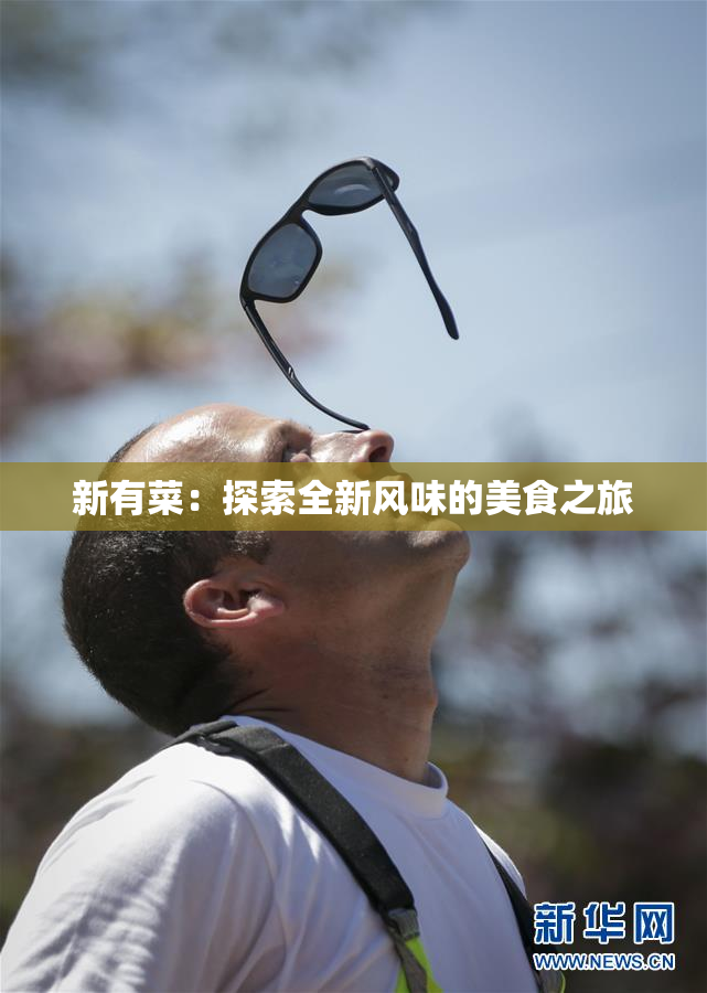 新有菜：探索全新风味的美食之旅