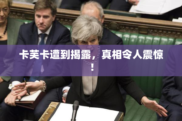 卡芙卡遭到揭露，真相令人震惊！