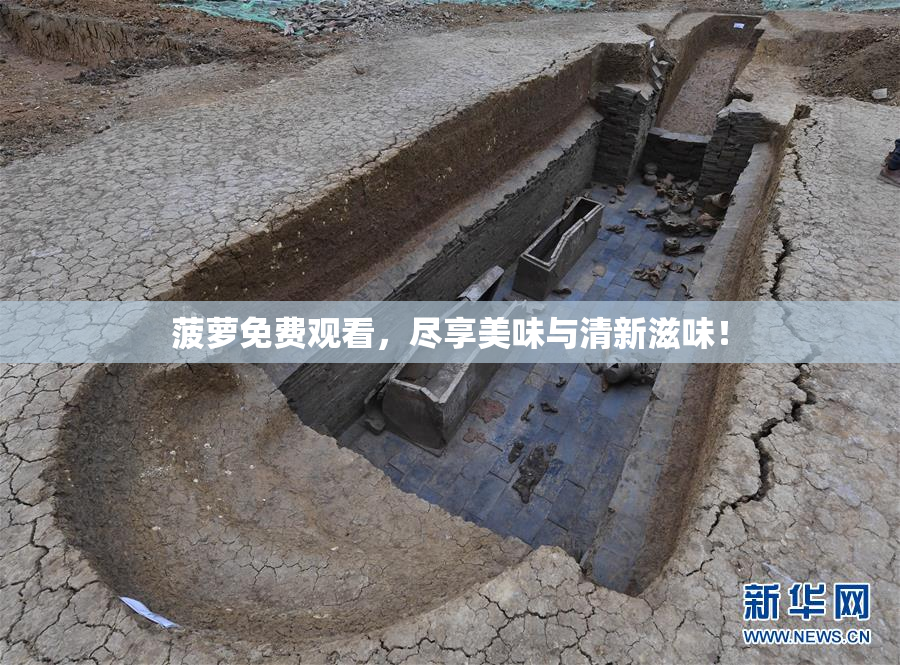 菠萝免费观看，尽享美味与清新滋味！