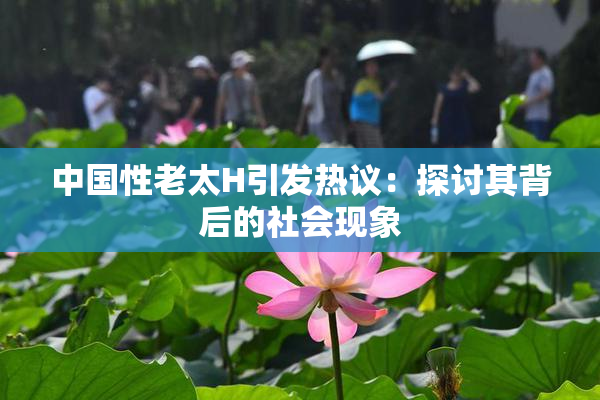 中国性老太H引发热议：探讨其背后的社会现象