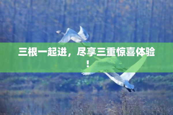 三根一起进，尽享三重惊喜体验！