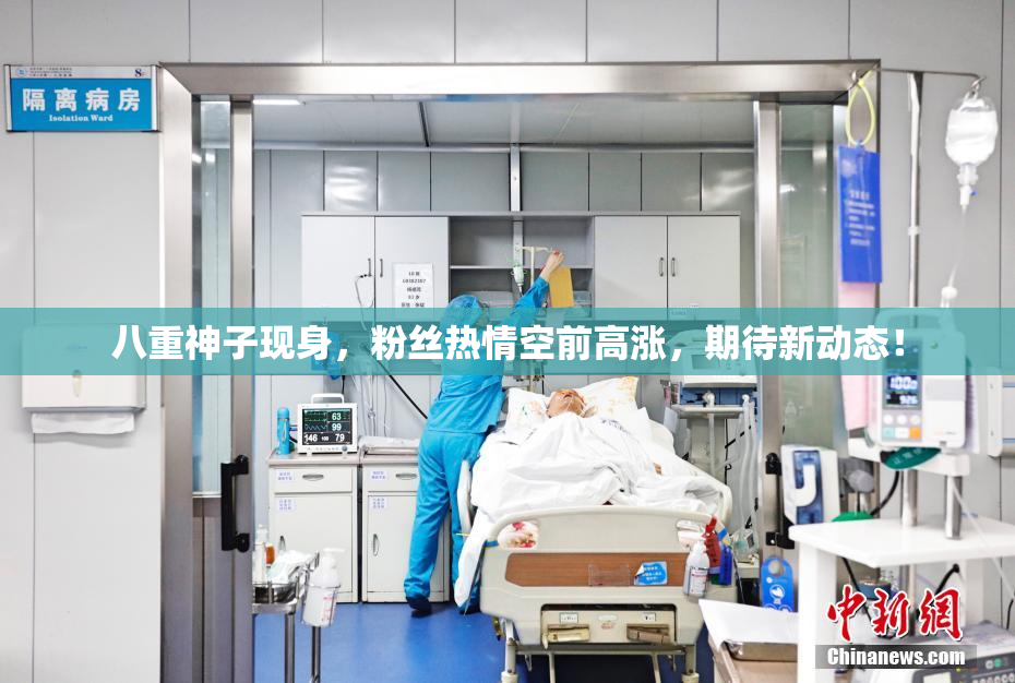 八重神子现身，粉丝热情空前高涨，期待新动态！