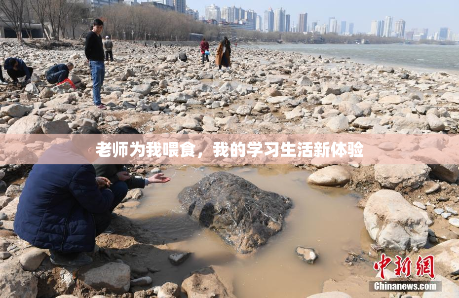 老师为我喂食，我的学习生活新体验