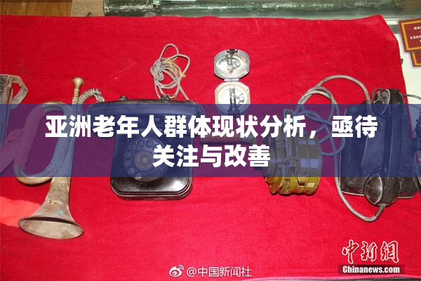 亚洲老年人群体现状分析，亟待关注与改善