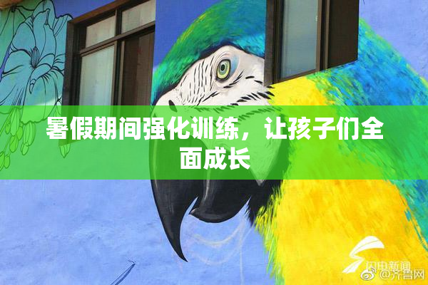 暑假期间强化训练，让孩子们全面成长