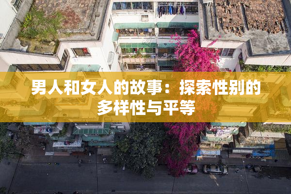 男人和女人的故事：探索性别的多样性与平等