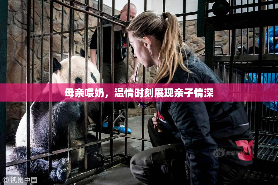 母亲喂奶，温情时刻展现亲子情深
