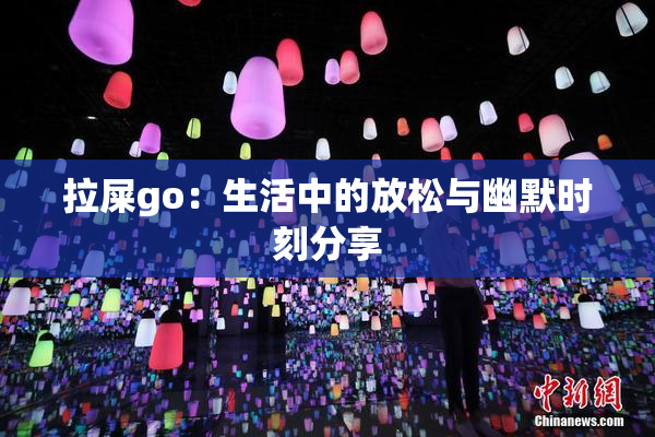 拉屎go：生活中的放松与幽默时刻分享