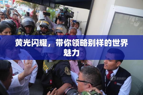 黄光闪耀，带你领略别样的世界魅力