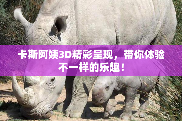 卡斯阿姨3D精彩呈现，带你体验不一样的乐趣！