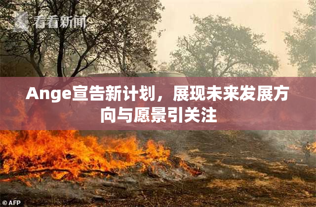 Ange宣告新计划，展现未来发展方向与愿景引关注