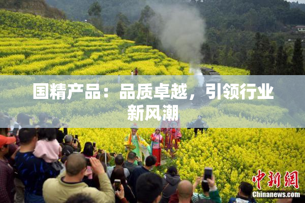 国精产品：品质卓越，引领行业新风潮