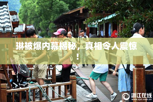 琳被爆内幕揭秘，真相令人震惊！