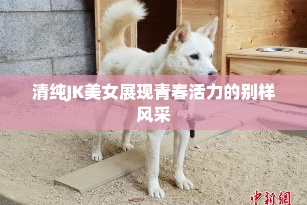清纯JK美女展现青春活力的别样风采