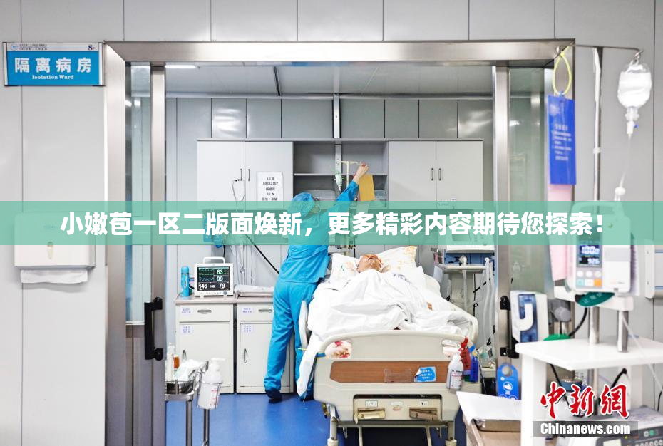 小嫩苞一区二版面焕新，更多精彩内容期待您探索！