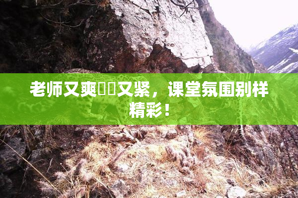 老师又爽❌‌又紧，课堂氛围别样精彩！